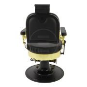 Picture of Barbertrade Roberto Gold || Barber Chair